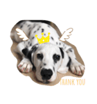 my name DALU（個別スタンプ：5）