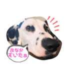 my name DALU（個別スタンプ：6）