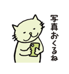 今日のねこ帖（個別スタンプ：13）