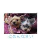 ラミ・ナナ・ミウ Part2（個別スタンプ：5）