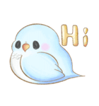 幸せ可愛いインコ - ぶちゃん ＆ 雪玉日記（個別スタンプ：1）