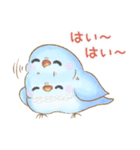 幸せ可愛いインコ - ぶちゃん ＆ 雪玉日記（個別スタンプ：5）