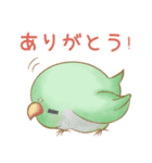 幸せ可愛いインコ - ぶちゃん ＆ 雪玉日記（個別スタンプ：13）