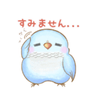幸せ可愛いインコ - ぶちゃん ＆ 雪玉日記（個別スタンプ：19）