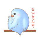 幸せ可愛いインコ - ぶちゃん ＆ 雪玉日記（個別スタンプ：20）