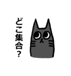 休日の猫（個別スタンプ：5）