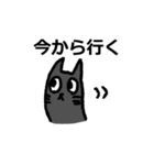 休日の猫（個別スタンプ：7）