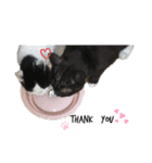 白と黒の日常（個別スタンプ：1）