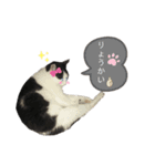 白と黒の日常（個別スタンプ：8）
