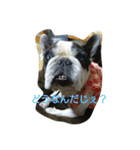 sora.rikuPart4（個別スタンプ：2）