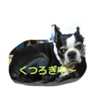 sora.rikuPart4（個別スタンプ：5）