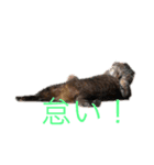 俺はイケメンになりたい（個別スタンプ：4）