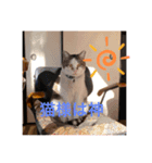 俺はイケメンになりたい（個別スタンプ：5）