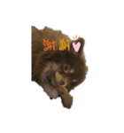 ふぇいたん（個別スタンプ：2）