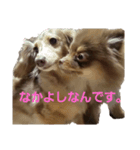 ふぇいたん（個別スタンプ：7）