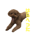 だいずスタンプ！（個別スタンプ：3）