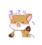キツネの日常で使えるスタンプ（個別スタンプ：16）