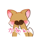 キツネの日常で使えるスタンプ（個別スタンプ：31）