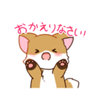 キツネの日常で使えるスタンプ（個別スタンプ：33）