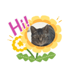 チル＆ロゼ（個別スタンプ：4）