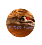 こむみるすたんぷ その2（個別スタンプ：8）