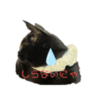 黒猫みぃちゃんのスタンプ2（個別スタンプ：4）