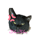 黒猫みぃちゃんのスタンプ2（個別スタンプ：5）
