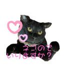 黒猫みぃちゃんのスタンプ2（個別スタンプ：7）