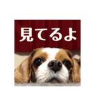 てきとうに使える（個別スタンプ：3）