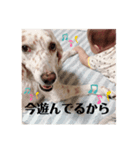 てきとうに使える（個別スタンプ：6）