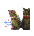猫の夢（個別スタンプ：7）
