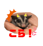 " きい "から一言！（個別スタンプ：6）