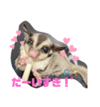 " きい "から一言！（個別スタンプ：7）