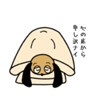 夜更かしゴロン（個別スタンプ：17）
