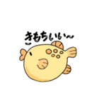 癒しのうみのいきもの（個別スタンプ：13）