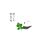 家族で使えるアリクイスタンプ（個別スタンプ：40）