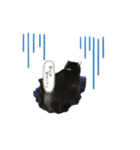 黒猫(まる)（個別スタンプ：1）