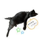 黒猫(まる)（個別スタンプ：7）