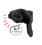 黒猫(まる)（個別スタンプ：8）