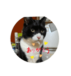 とのくんとむさしくん2（個別スタンプ：5）