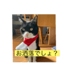 とのくんとむさしくん2（個別スタンプ：7）