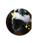 とのくんとむさしくん（個別スタンプ：3）