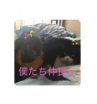とのくんとむさしくん（個別スタンプ：6）