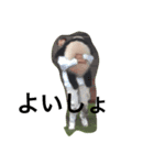おしりまる（個別スタンプ：6）