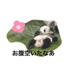 おしりまる（個別スタンプ：7）
