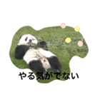おしりまる（個別スタンプ：8）
