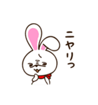 ぷるーみぃ☆ゆるかわあにまるの日常☆（個別スタンプ：37）