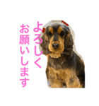 ネロFirst（個別スタンプ：1）