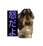 ネロFirst（個別スタンプ：5）