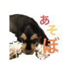 ネロFirst（個別スタンプ：8）